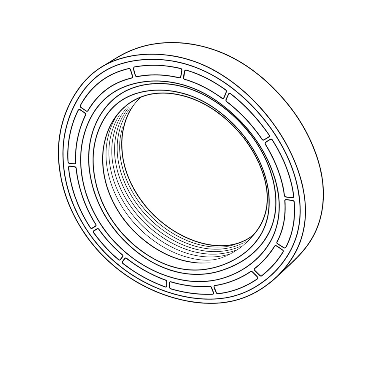 Oil Seals (Shaft Seals)